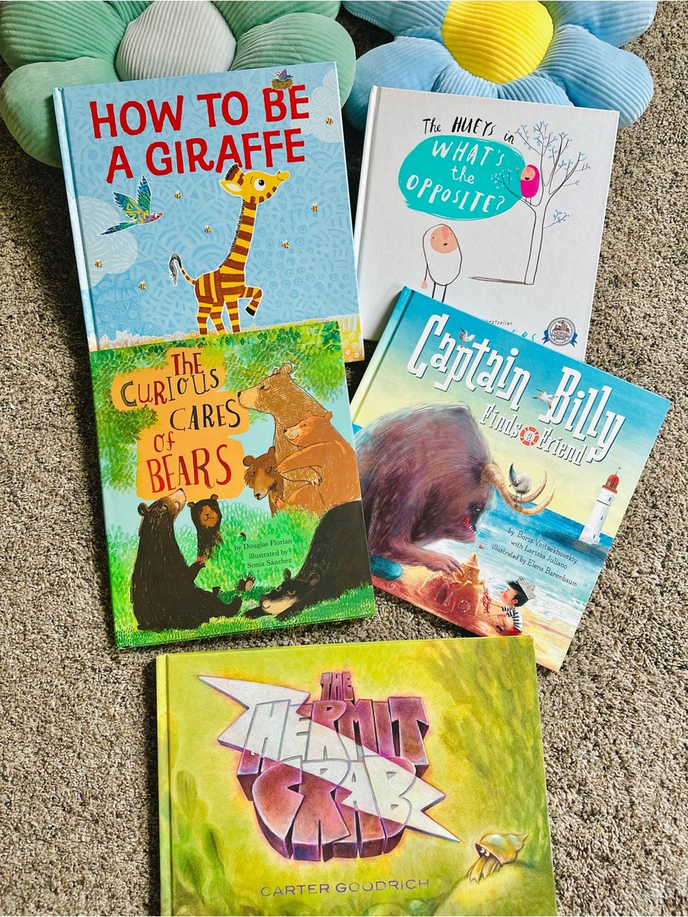 Children's Picture Book Lot